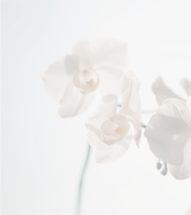 bg-flower